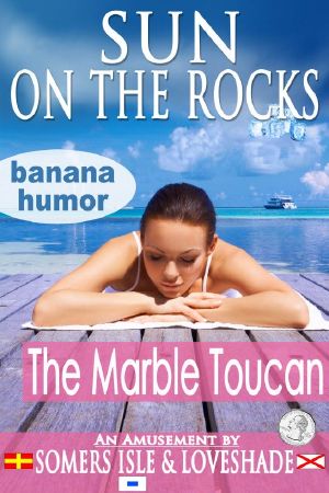 [Sun on the Rocks 01] • The Marble Toucan